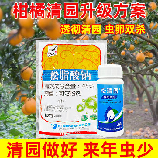 柑橘清园专用大鹏松脂酸钠松清园果树柑橘杨梅介壳虫矢尖蚧粉蚧 商品图0