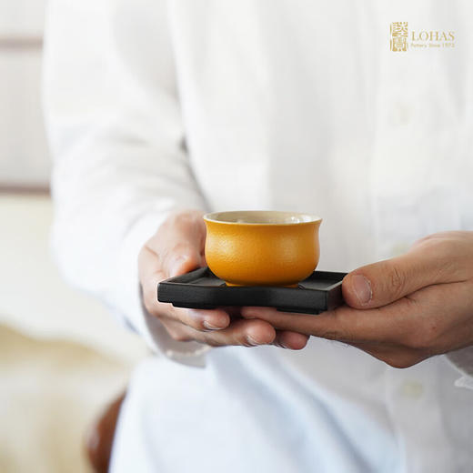 陆宝龙年茶具套装礼盒 风生水起茶杯茶壶中国风家用功夫茶具 新年礼品 风生水起茶礼 9头 商品图6