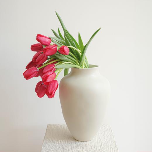 郁金香 Tulip 商品图9