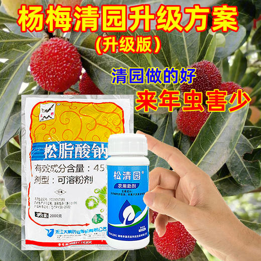 杨梅树清园专剂大鹏松脂酸钠松清园果树介壳蚧壳虫矢尖蚧粉蚧杀虫 商品图0