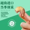 鲜记  紫衣腰果 带皮大腰果仁 送礼零食 348g 48小时发货 商品缩略图6