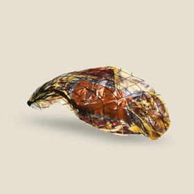 白标爱蒙 24个月（整腿）