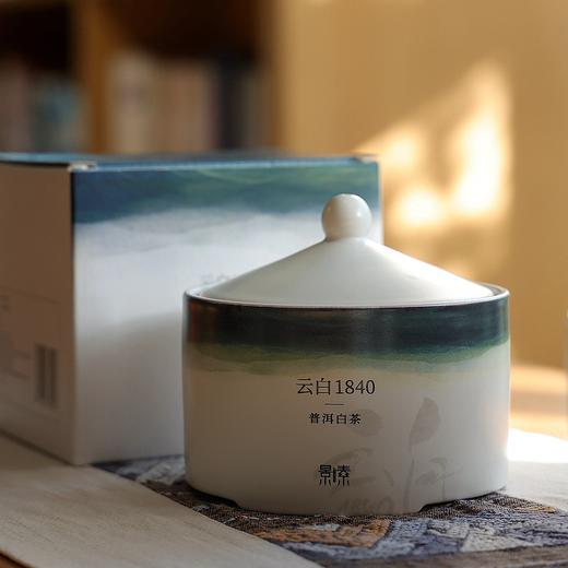 「云白1840」2021年，一口清甜蜜韵，有活性的全芽头白茶（75g） 商品图0