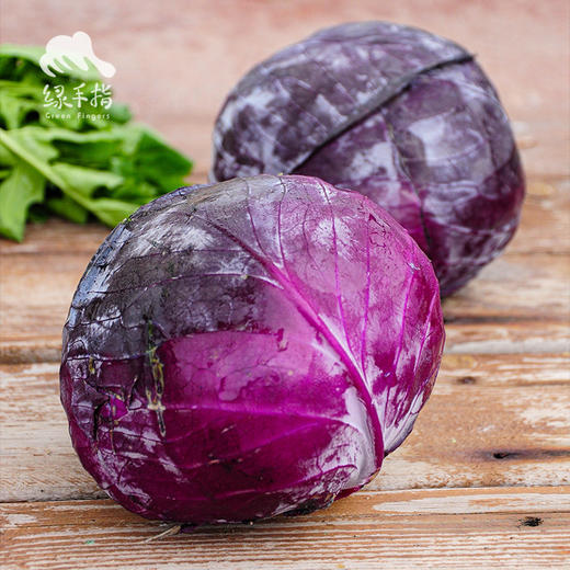 生态紫甘蓝 | 绿家自产*Ecological Cabbage | In-House Production 商品图1