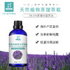 【预售】有机高地薰衣草纯露 花水 2025当季新露 海外进口新鲜纯露 原产地直供 商品缩略图3