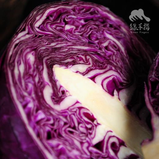 生态紫甘蓝 | 绿家自产*Ecological Cabbage | In-House Production 商品图2