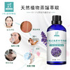 【预售】有机高地薰衣草纯露 花水 2025当季新露 海外进口新鲜纯露 原产地直供 商品缩略图2