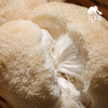 生态鲜猴头菇 | 绿家自产 * Ecological mushroom | Self-production 商品缩略图3