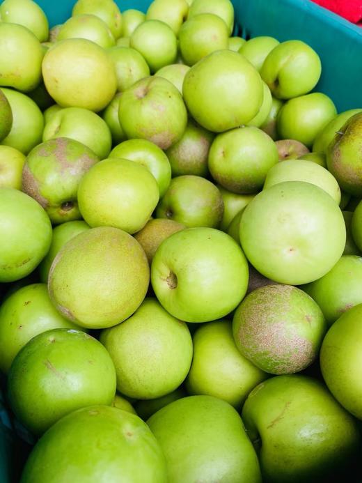 【苹果枣】云南西双版纳蜜罐苹果枣 / 清甜脆嫩多汁爽口/现摘现发包邮 商品图8