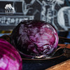 生态紫甘蓝 | 绿家自产*Ecological Cabbage | In-House Production 商品缩略图4