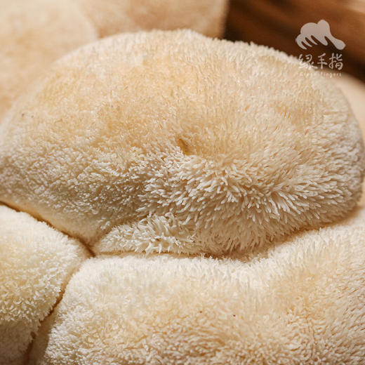 生态鲜猴头菇 | 绿家自产 * Ecological mushroom | Self-production 商品图6