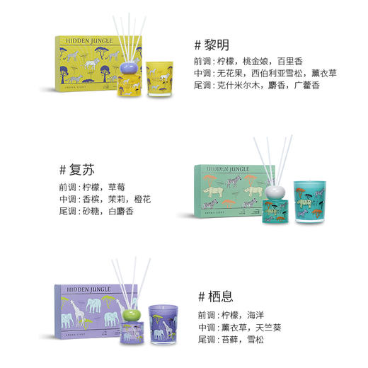 丛林觅境系列香薰礼盒 商品图3