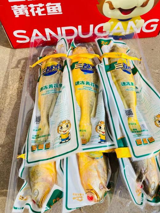 三都港黄花鱼一箱 商品图2