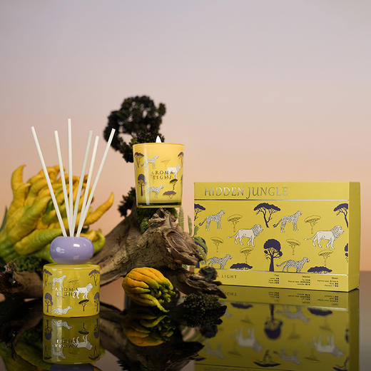 丛林觅境系列香薰礼盒 商品图0