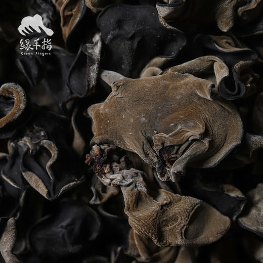 生态黑木耳/毛木耳 | 绿家自产 * Organic black fungus | Self-production 商品图3