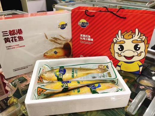 三都港黄花鱼一箱 商品图1