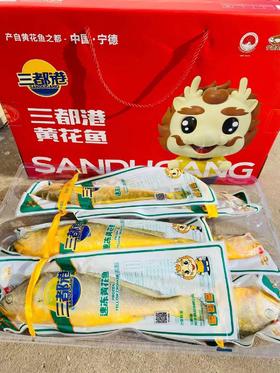 三都港黄花鱼一箱