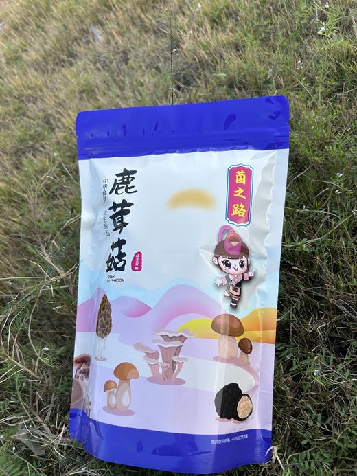 鹿茸菇100g 【LY】 商品图0