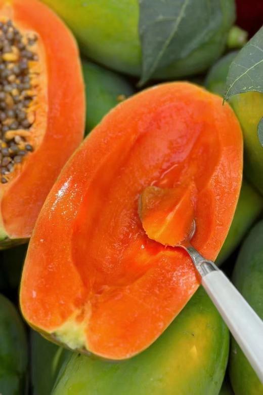 琼中美味海南红心木瓜 商品图6