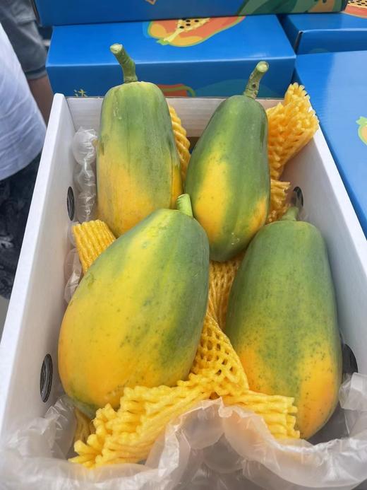 琼中美味海南红心木瓜 商品图12