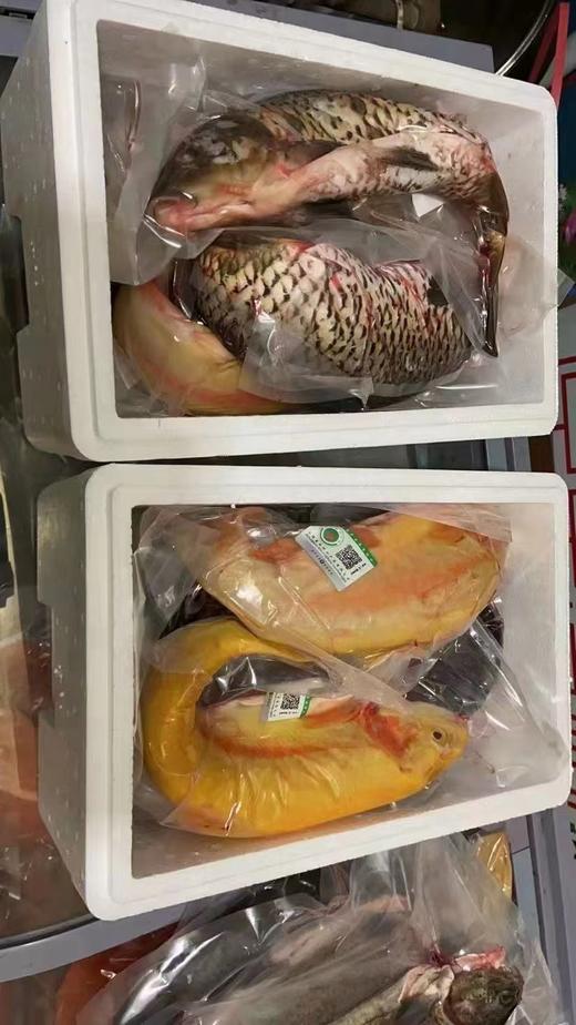 刘家峡水库 金鳟鱼 虹鳟鱼 黄河鲟鱼 黄河鲤鱼 冰鲜新鲜净膛发货 商品图4