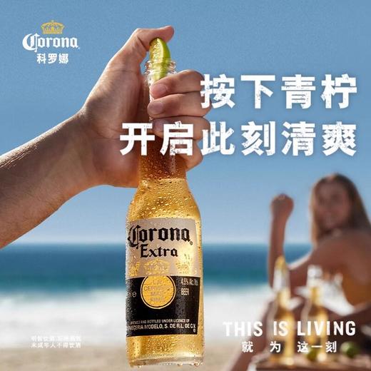 墨西哥风味Corona/科罗娜啤酒冰镇啤酒330ml 商品图0