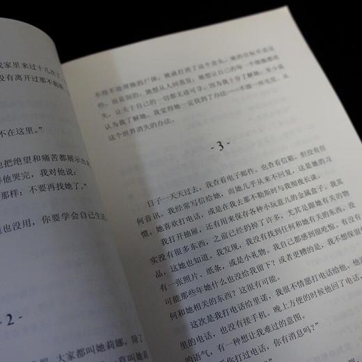 我的天才女友 那不勒斯四部曲（意）埃莱娜·费兰特 著 商品图5