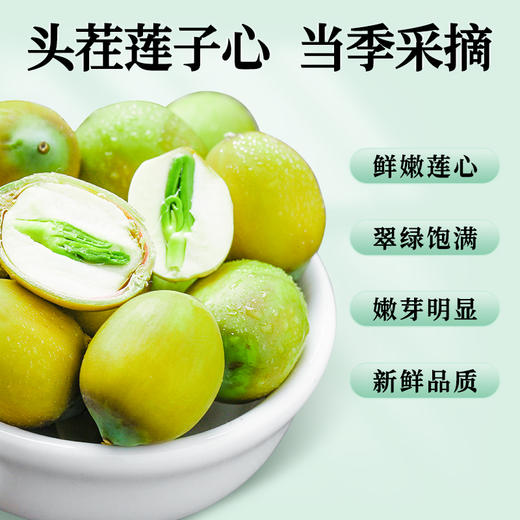【莲子心】100g/罐 精选头茬莲子芯当季采摘颗颗分明 商品图1