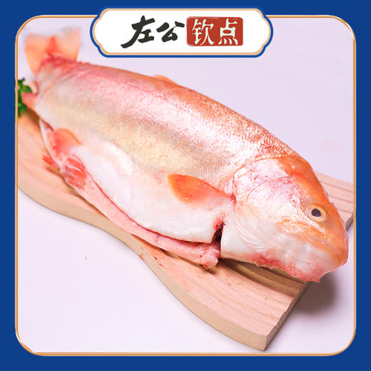 刘家峡水库 金鳟鱼 虹鳟鱼 黄河鲟鱼 黄河鲤鱼 冰鲜新鲜净膛发货 商品图2