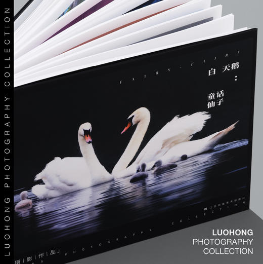 罗红摄影作品-白天鹅：童话仙子 商品图2