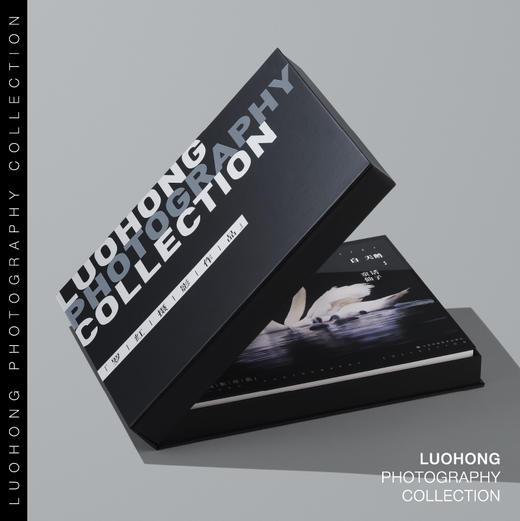 罗红摄影作品-白天鹅：童话仙子 商品图3