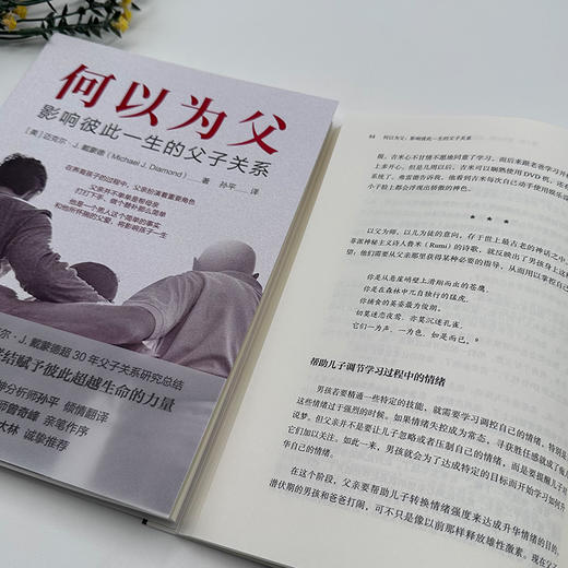 官网 何以为父 影响彼此一生的父子关系 迈克尔 戴蒙德 父子关系 家教育儿心理学书籍 商品图1