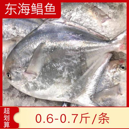 【海鲜】冰鲜东海中鲳鱼（5-6两） 商品图0