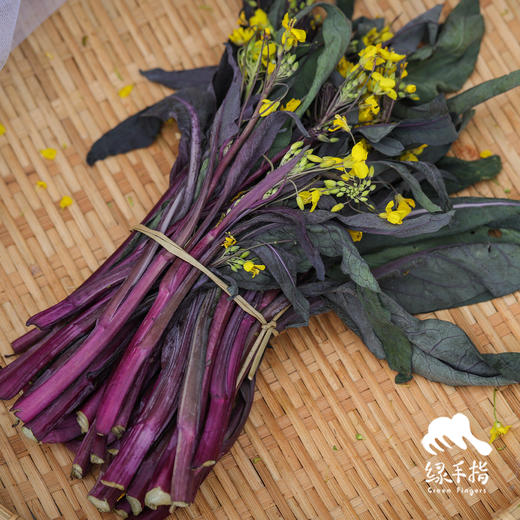 生态红菜苔 | 绿家自产 * ecological red choy sum | Self-production 商品图3