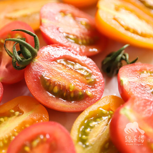 生态圣女果 /小番茄（1斤/ 3斤；包邮） | 绿家自产 * Ecological cherry tomato | Self-production 商品图3
