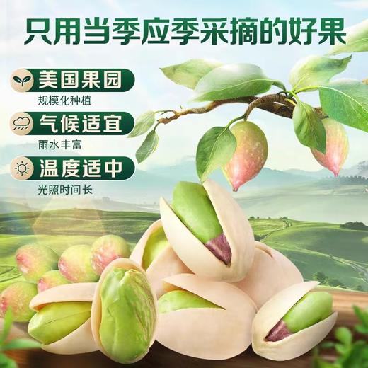 百草味本味甄果开心果海盐味70g/袋 商品图1