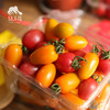 生态圣女果 /小番茄（1斤/ 3斤；包邮） | 绿家自产 * Ecological cherry tomato | Self-production 商品缩略图1