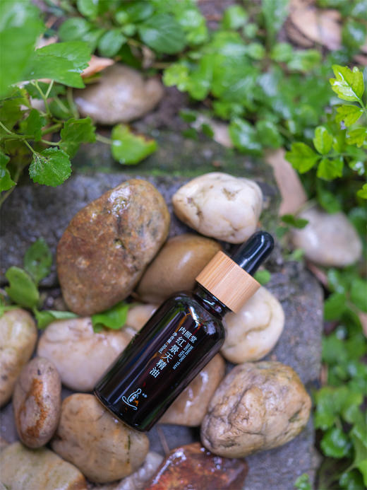 红景天精油 商品图3