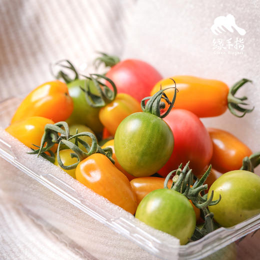 生态圣女果 /小番茄（1斤/ 3斤；包邮） | 绿家自产 * Ecological cherry tomato | Self-production 商品图0