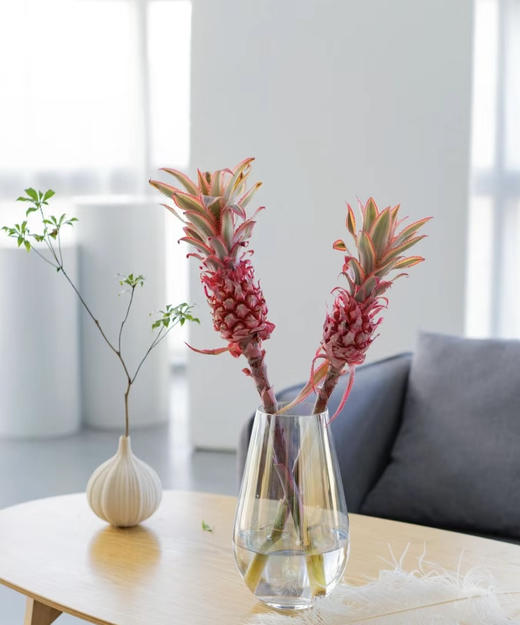 菠萝（旺来花） 单枝 商品图3