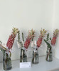 菠萝（旺来花） 单枝 商品缩略图4