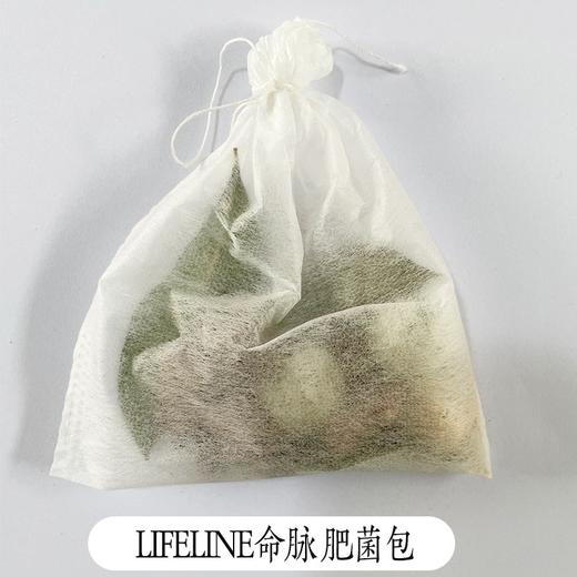 水体肥菌包：预防腐皮腐甲真菌肠胃炎等疾病 商品图0