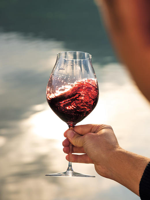 【样品特惠3.5折，仅1套，无货退款】RIEDEL performance 棱镜系列水晶玻璃红白葡萄酒杯 勃艮第香槟杯（无货退款）【不支持补差，非质量问题不退不换】S 商品图3