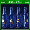 青岛啤酒奥古特「A6」258ml*24瓶 商品缩略图4