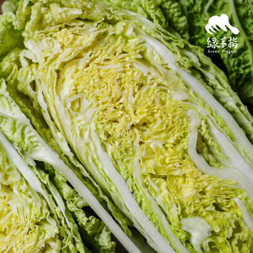 生态娃娃菜团购（包邮）| 绿家自产* Eco-baby Chinese cabbage group-buy | Self-production 商品图2