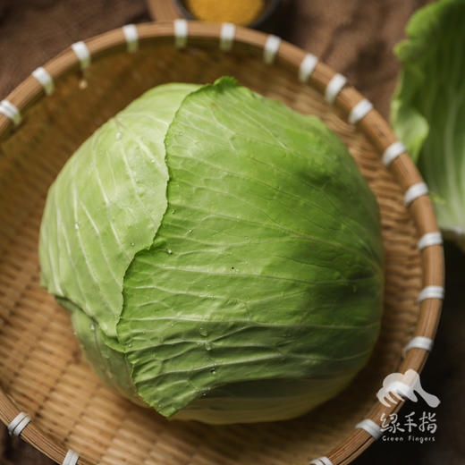 生态包菜/牛心甘蓝（包邮）| 绿家自产* Eco-baby Chinese cabbage group-buy | Self-production 商品图3