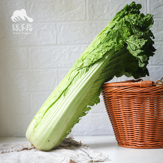 生态大白菜（竹筒青，包邮）| 绿家自产* Eco-baby Chinese cabbage group-buy | Self-production 商品图3