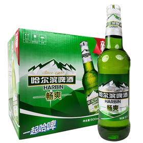 [啤酒]哈尔滨畅爽啤酒500ml*12瓶整箱