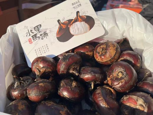 脆吉吉马蹄  产地直供 更甜的大荸荠 商品图7