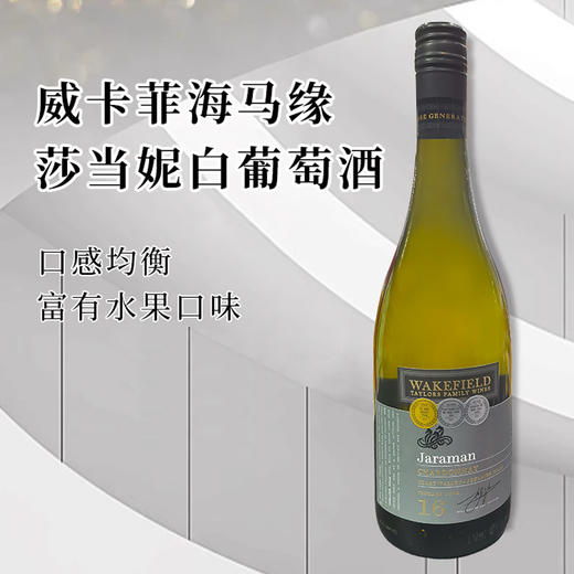 澳大利亚进口威卡菲海马缘莎当妮白葡萄酒750ml 商品图1